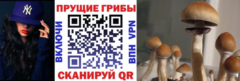 Галлюциногенные грибы мухоморы  Купить закладки  Лыткарино 